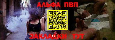 Альфа ПВП Магадан