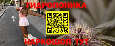 тгк Майкоп