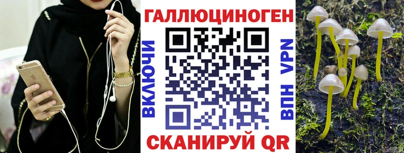 где можно купить наркотик  Шебекино  Галлюциногенные грибы Magic Shrooms 